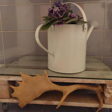 El Atico De Mijares (Castile and Leon)