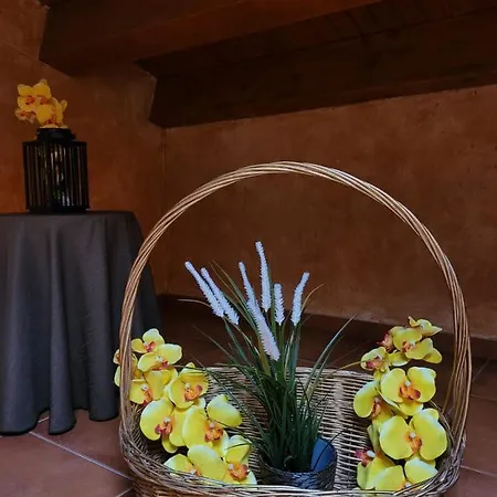 El Atico De * Mijares (Castile and Leon)