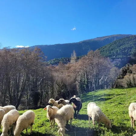 Séjour à la campagne El Atico De *