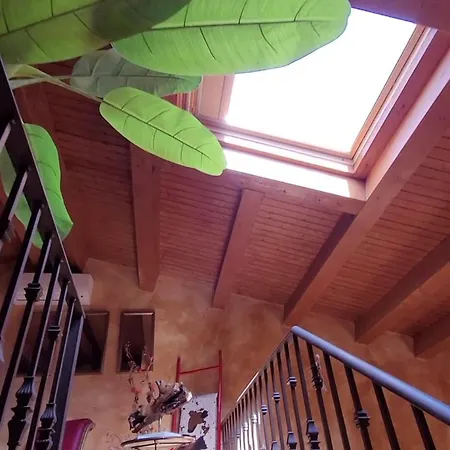 El Atico De Mijares (Castile and Leon)