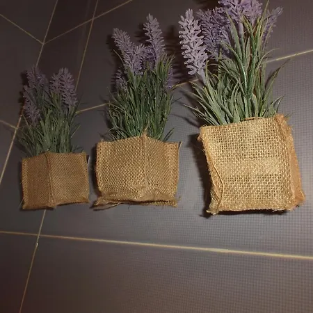 בית כפרי El Atico De