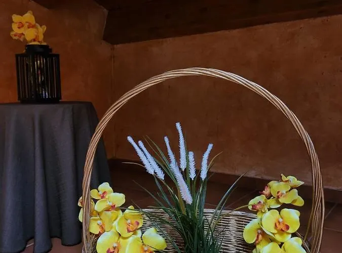 El Atico De * Mijares