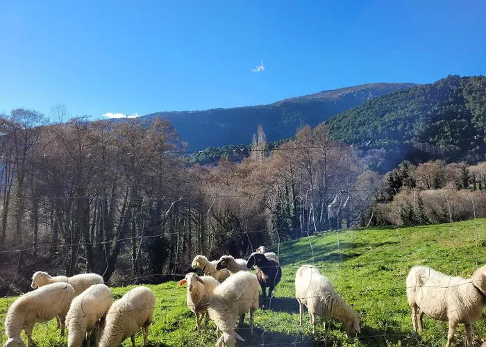 Hétvégi ház El Atico De *